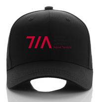 Thumbnail for NENE AIRPORT CAP
