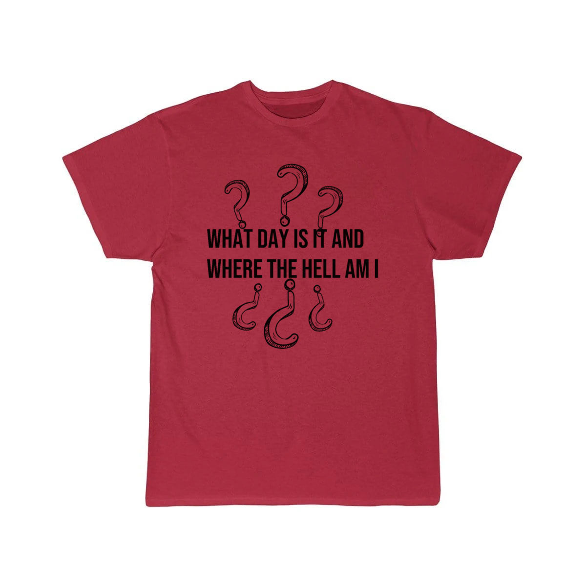 What day is it and where the hell am i T-SHIRT THE AV8R